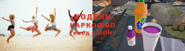 ПСИЛОЦИБИНОВЫЕ ГРИБЫ Арсеньев