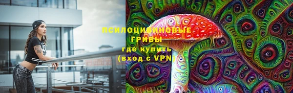 а пвп мука Алексеевка
