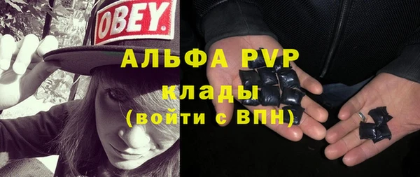 ПСИЛОЦИБИНОВЫЕ ГРИБЫ Арсеньев
